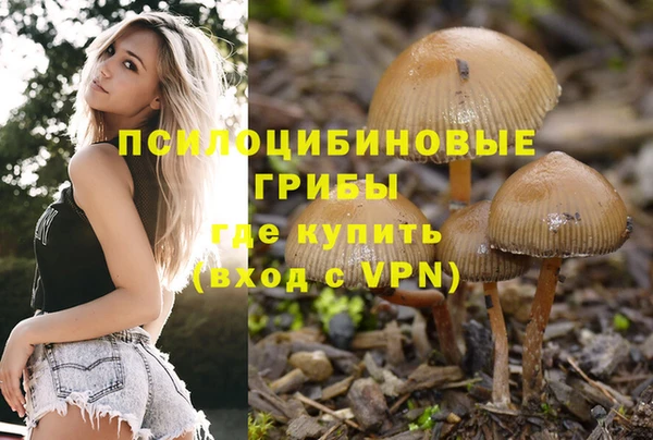 прущие грибы Карпинск