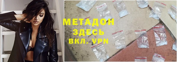 прущие грибы Карпинск