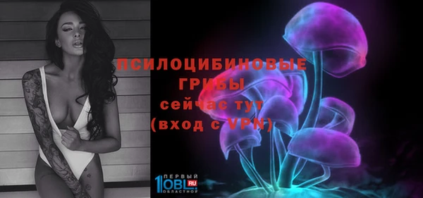 трава Киренск