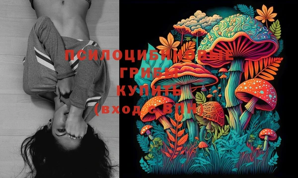 трава Киренск