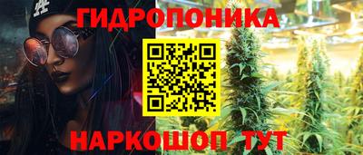 ПСИЛОЦИБИНОВЫЕ ГРИБЫ Заводоуковск