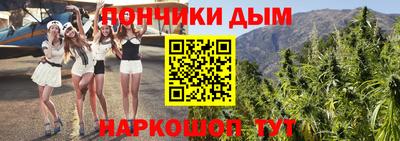 ПСИЛОЦИБИНОВЫЕ ГРИБЫ Заводоуковск