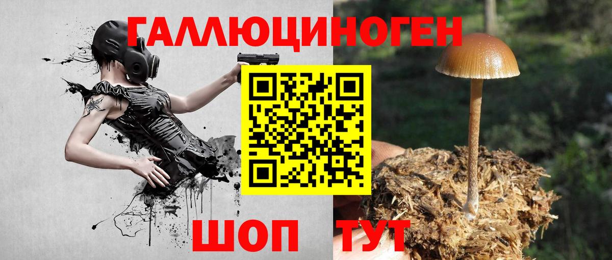 Псилоцибиновые грибы Magic Shrooms Кумертау